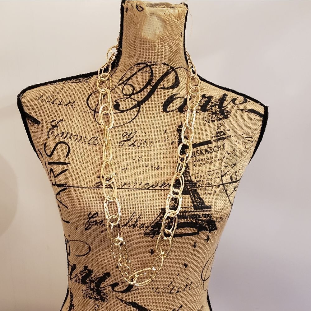 3 for $25 Christopher & Banks Chain Link Necklace